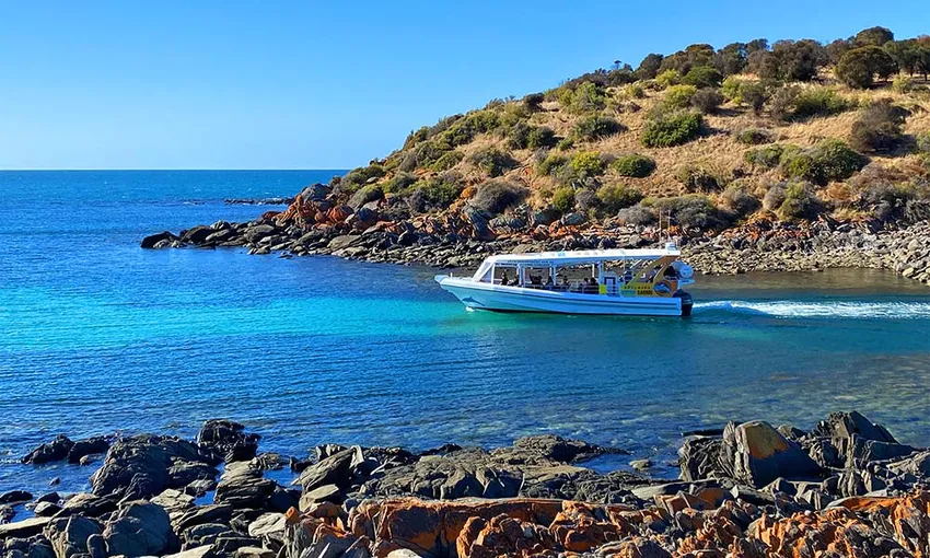 Kangaroo Island Dolphin Safari Cruise - Book Now | Experience Oz