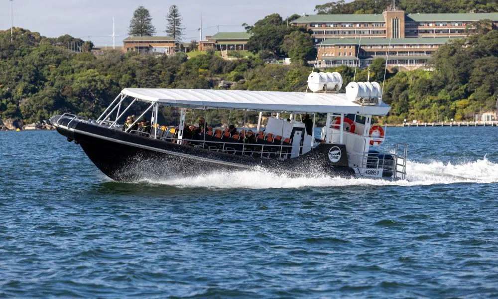 Sydney Whale Watching Speed Boat Tour - Book Now | Experience Oz-4