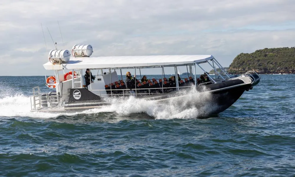 Sydney Whale Watching Speed Boat Tour - Book Now | Experience Oz-5