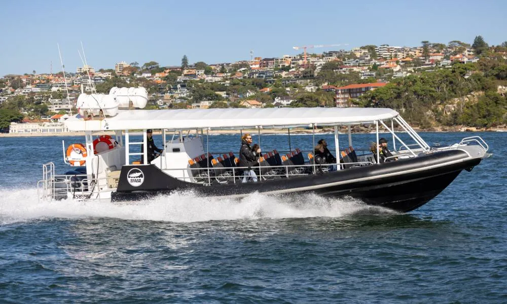 Sydney Whale Watching Speed Boat Tour - Book Now | Experience Oz-6