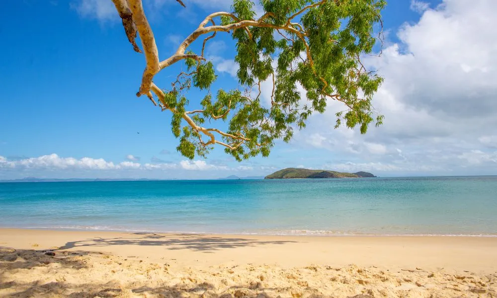 Great Keppel Island Day Trip With Lunch & Drinks | Experience Oz-5