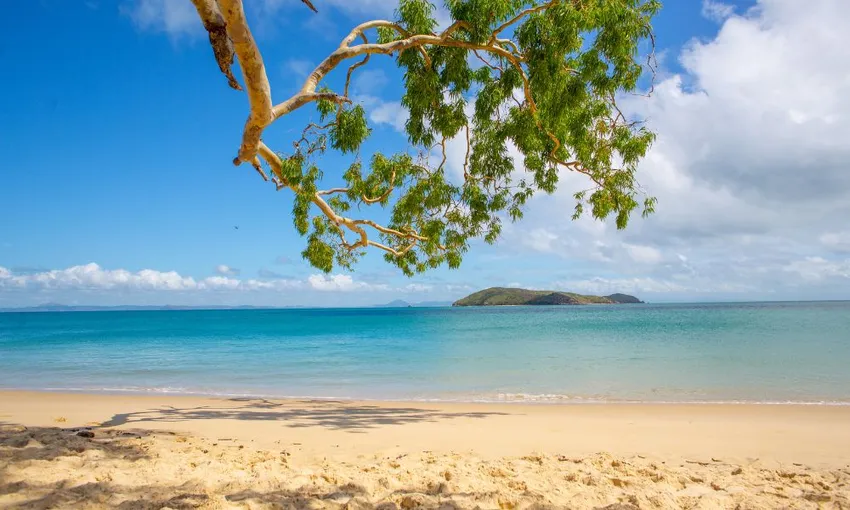 Great Keppel Island Day Trip With Lunch & Drinks | Experience Oz