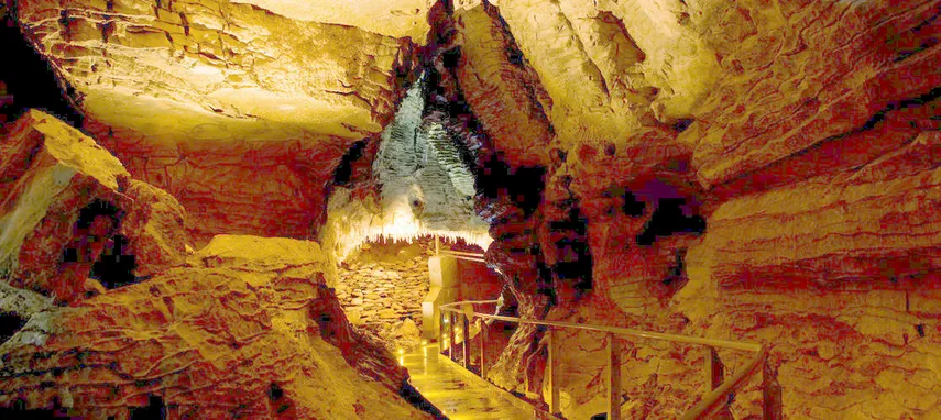 Waikato Triple Cave Combo - Book Online | Experience Oz + NZ