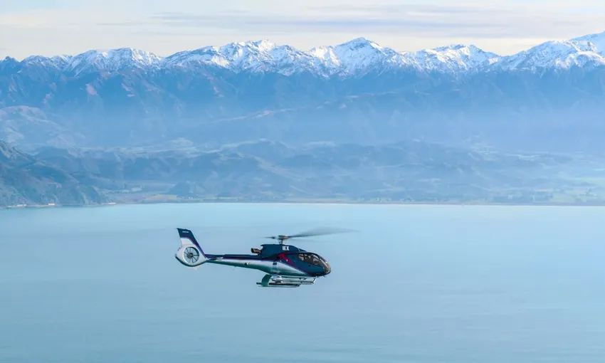 Helicopter Coastal Whale Watch 50 Minutes