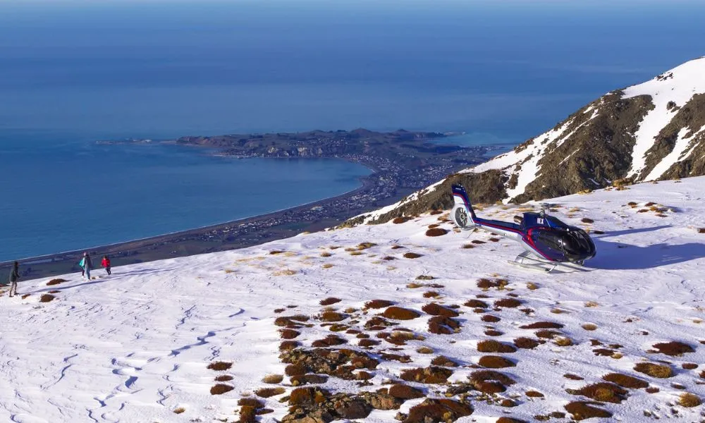 Helicopter Coastal Whale Watch 50 Minutes -1