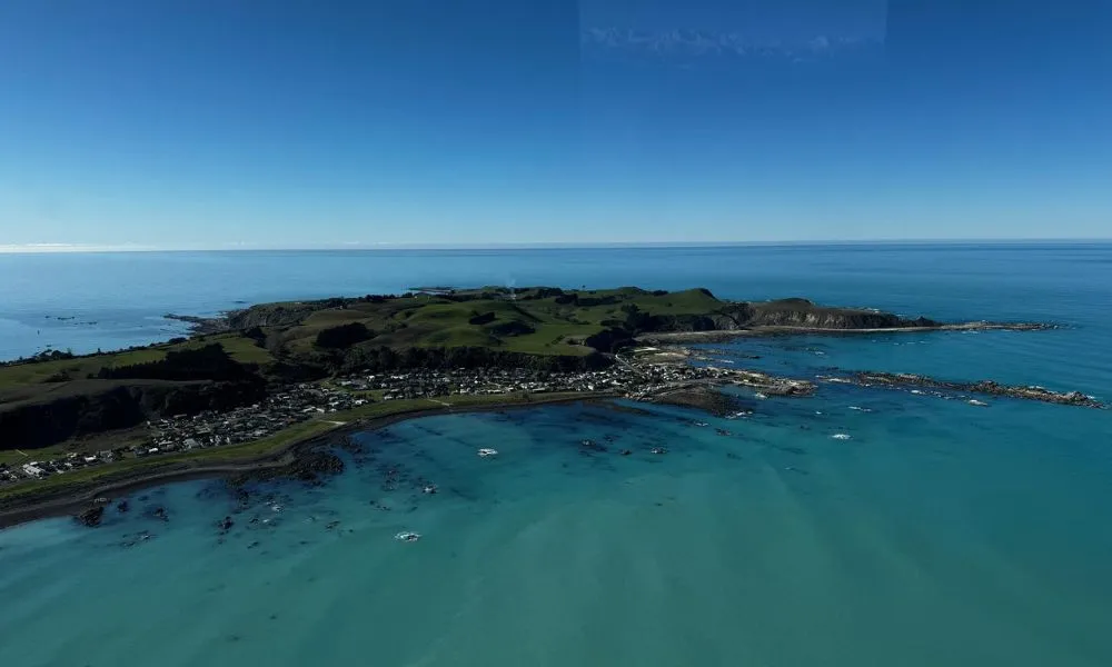 Helicopter Coastal Whale Watch 50 Minutes -8