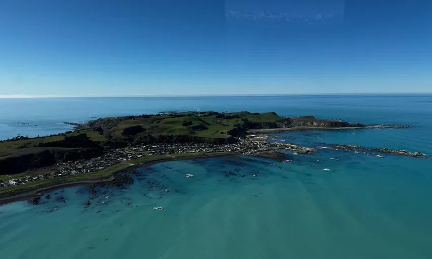 Helicopter Coastal Whale Watch 50 Minutes 