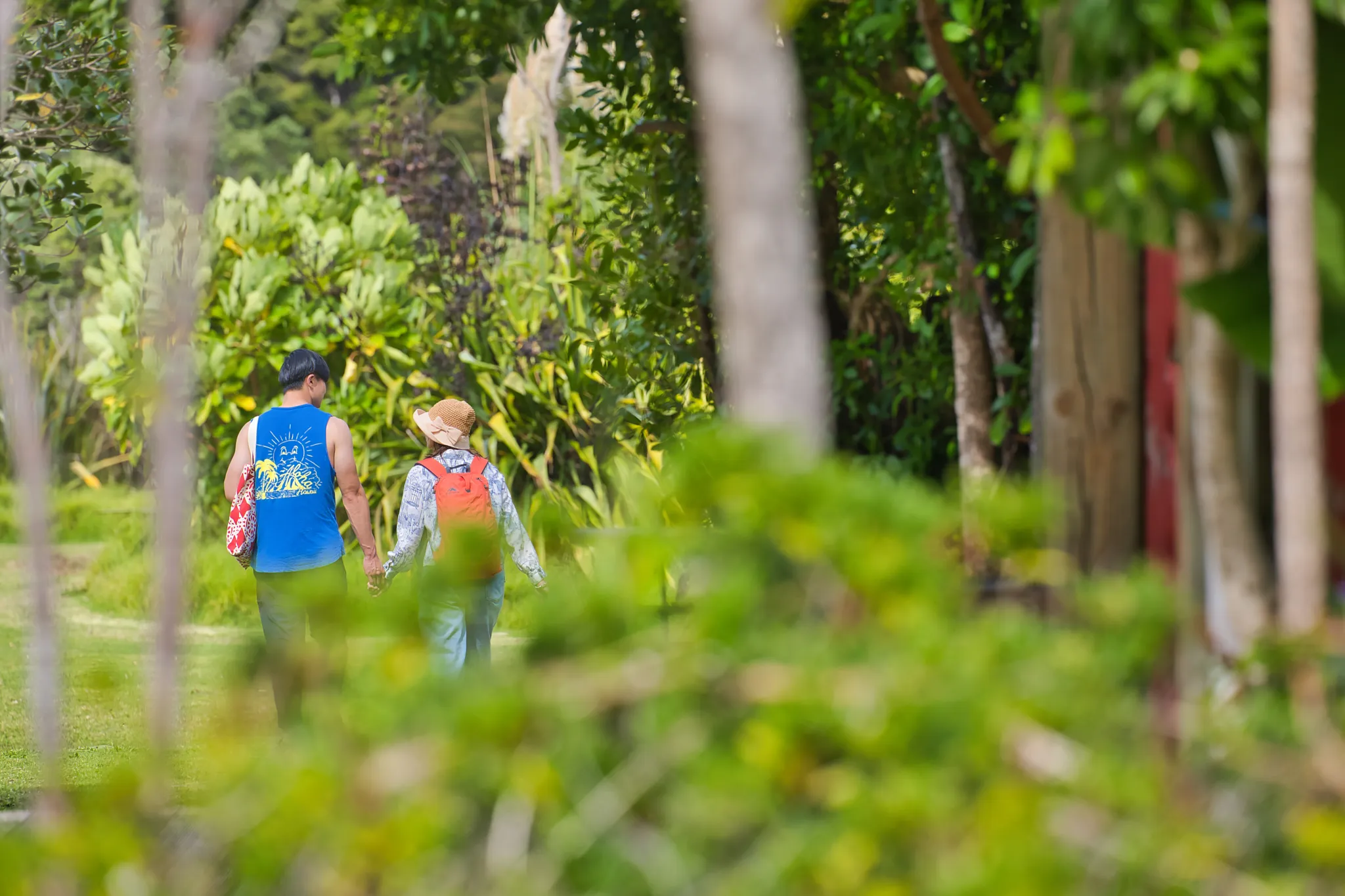 Discover the Bay Hole in the Rock Half Day Tour | Experience Oz-12