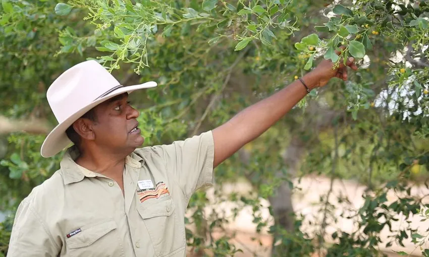 Rubibi Broome Cultural Tour - Book Now | Experience Oz