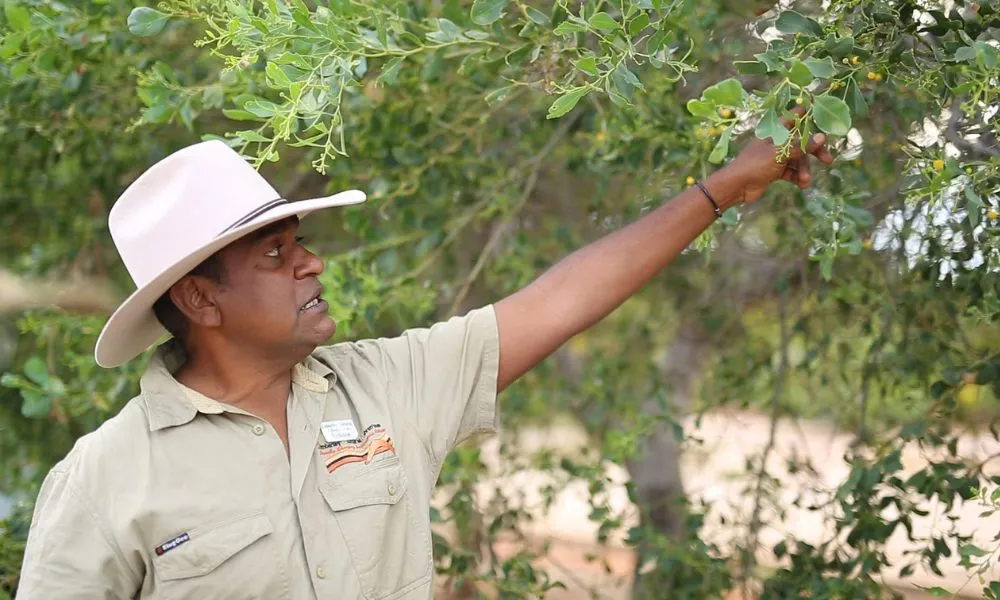 Beagle Bay Cultural Tour - Book Now | Experience Oz -3