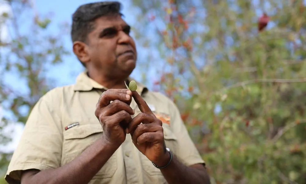 Beagle Bay Cultural Tour - Book Now | Experience Oz -1