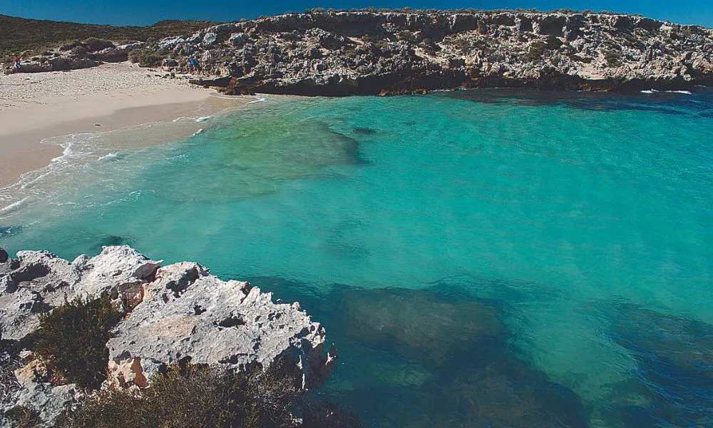 Rottnest Island Return Ferry Ticket from Fremantle | Experience Oz-7