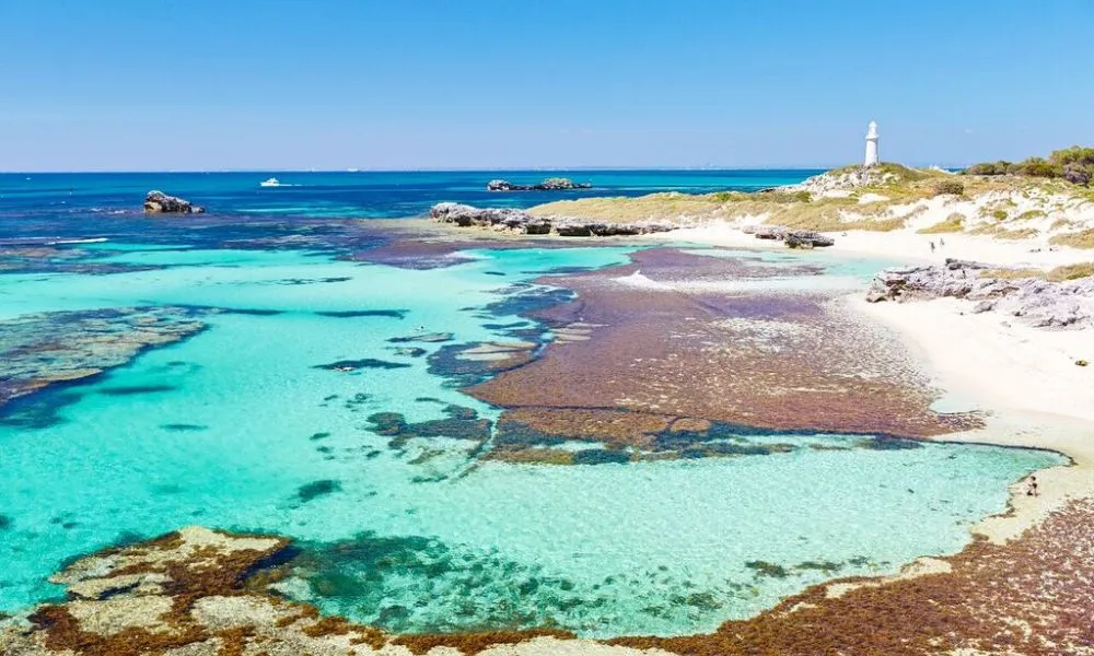 Rottnest Island Return Ferry Ticket from Fremantle | Experience Oz-5