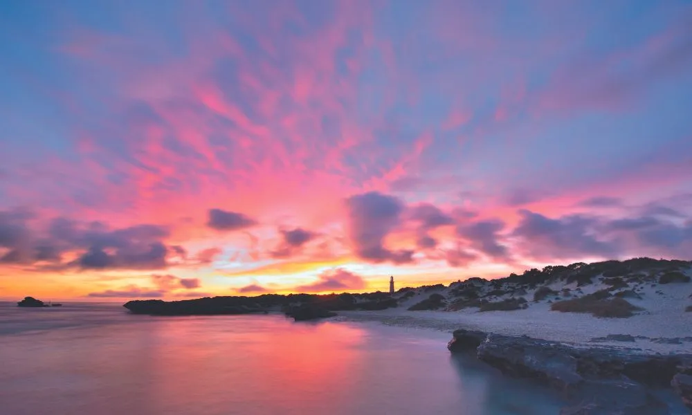 Rottnest Island Return Ferry Ticket from Fremantle | Experience Oz-8