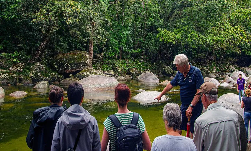 Daintree and Mossman Gorge Full Day Tour | Experience Oz