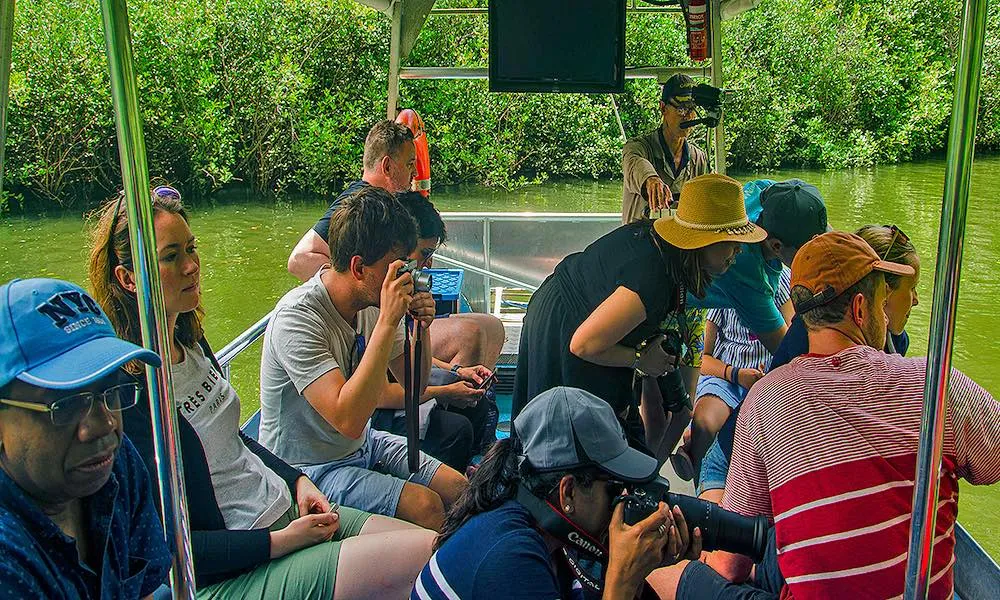 Daintree and Mossman Gorge Full Day Tour | Experience Oz -3