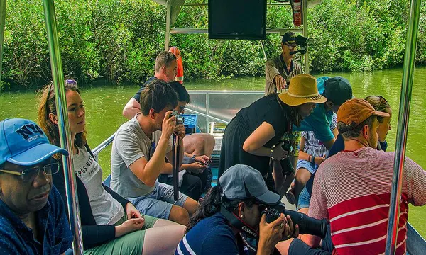 Daintree and Mossman Gorge Full Day Tour