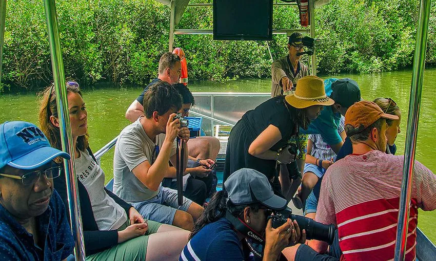 Daintree and Mossman Gorge Full Day Tour | Experience Oz