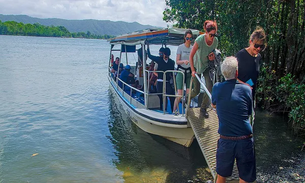 Daintree and Mossman Gorge Full Day Tour