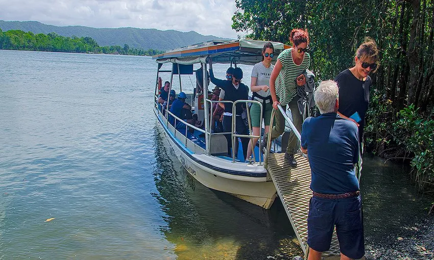 Daintree and Mossman Gorge Full Day Tour | Experience Oz