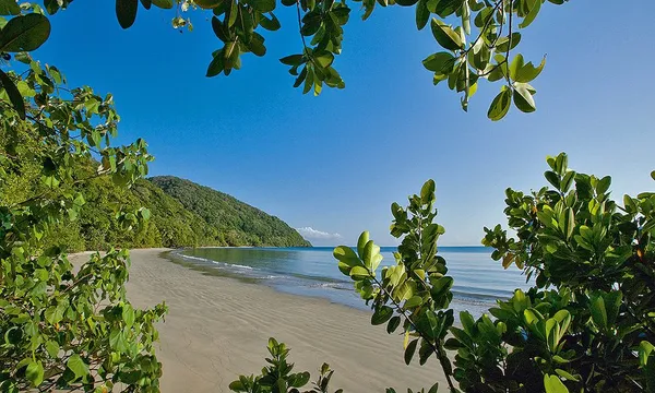 Daintree and Mossman Gorge Full Day Tour