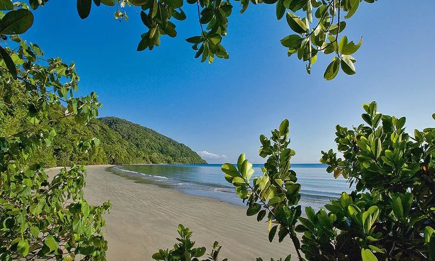 Daintree and Mossman Gorge Full Day Tour | Experience Oz