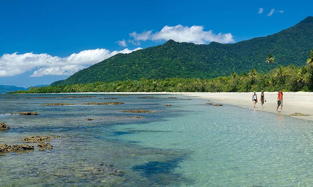 Daintree and Mossman Gorge Full Day Tour | Experience Oz -6