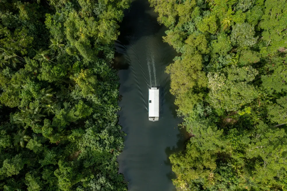 Daintree and Mossman Gorge Full Day Tour | Experience Oz -8