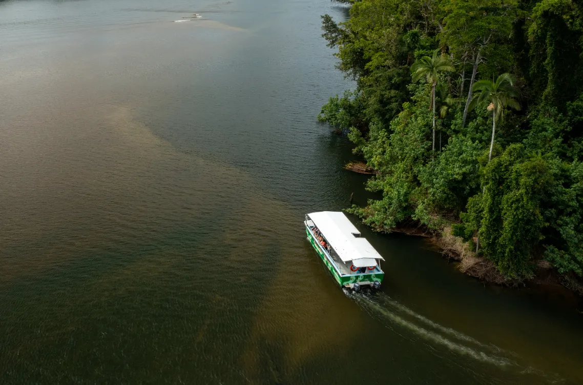 Daintree and Mossman Gorge Full Day Tour | Experience Oz -9