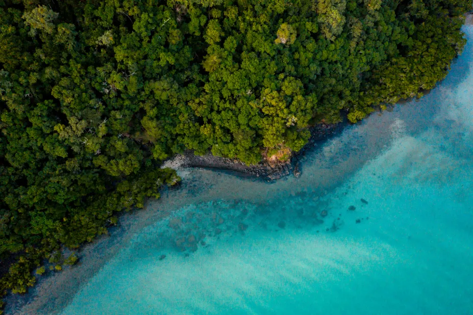 Daintree and Mossman Gorge Full Day Tour | Experience Oz -11