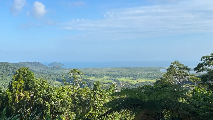 Daintree and Mossman Gorge Full Day Tour | Experience Oz 