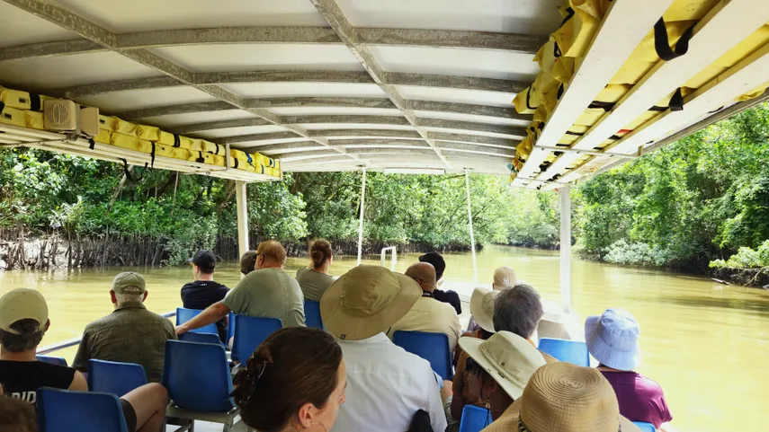 Daintree and Mossman Gorge Full Day Tour | Experience Oz 