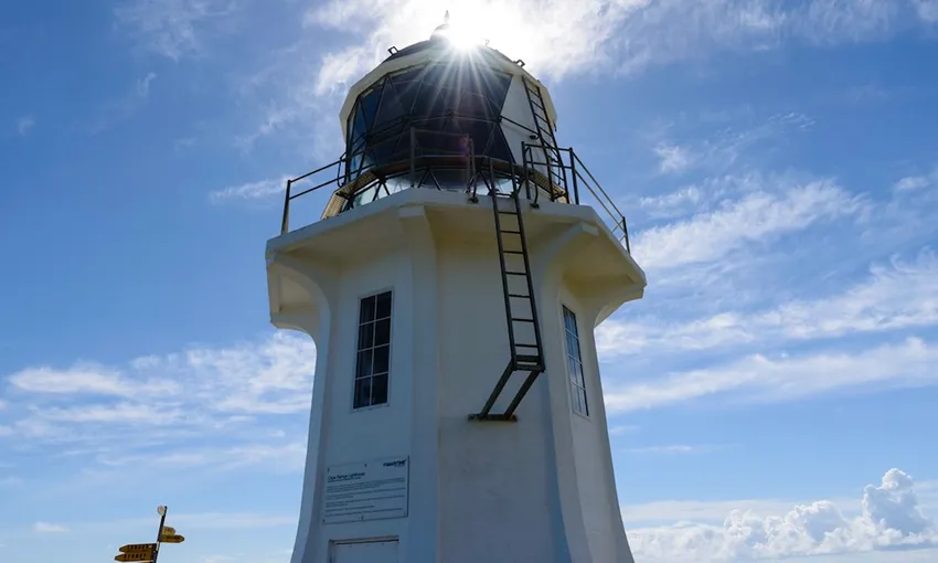 Cape Reinga 90 Mile Beach Tour Bay of Islands NZ | Experience Oz