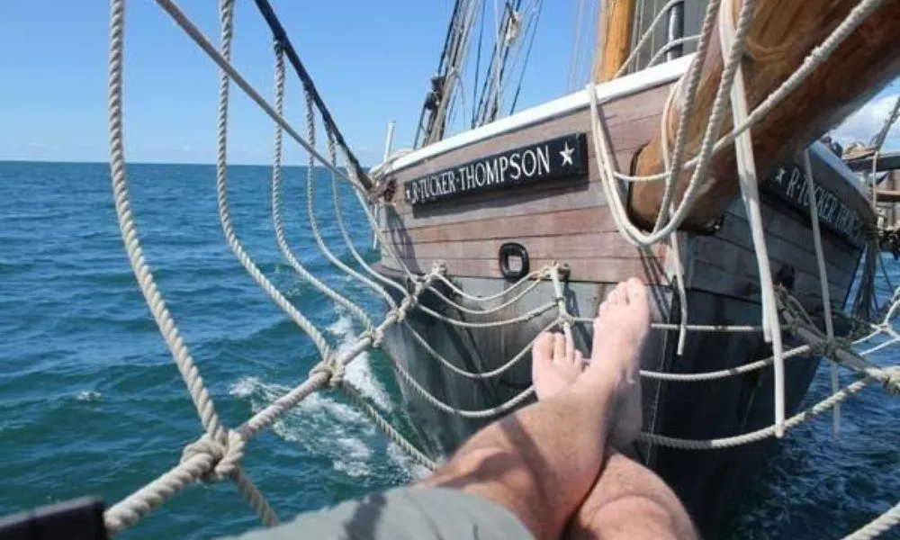 Tall Ship Sailing in Bay of Islands  | Experience Oz-2