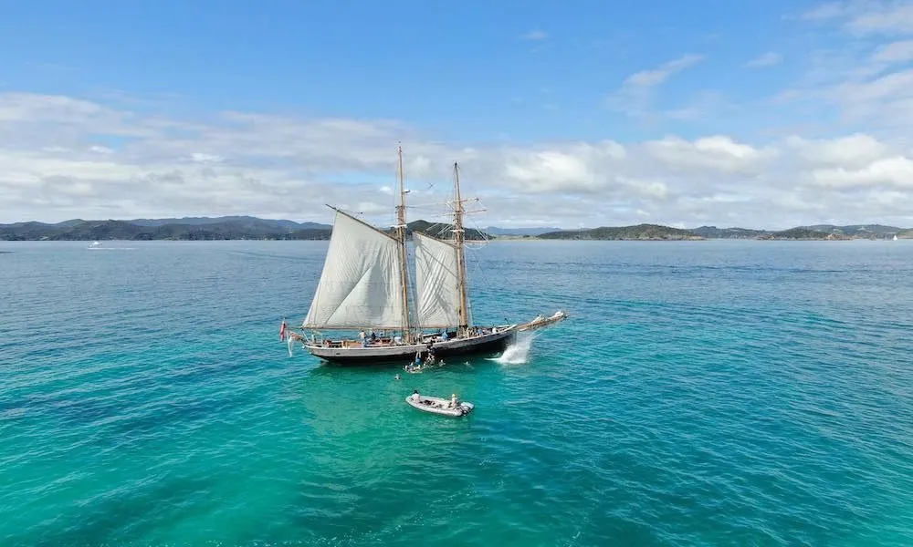 Tall Ship Sailing in Bay of Islands  | Experience Oz-3