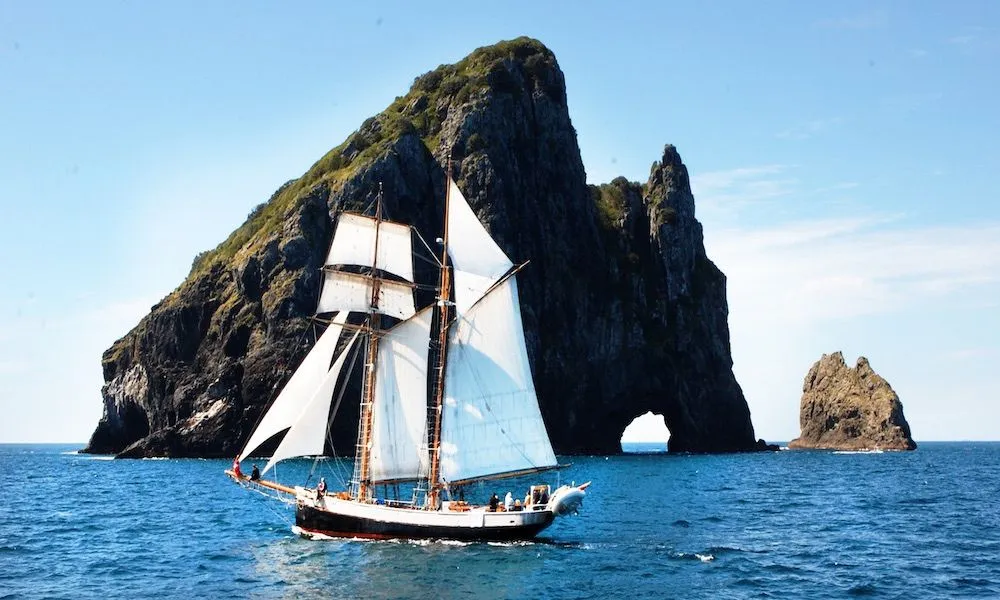 Tall Ship Sailing in Bay of Islands  | Experience Oz-4