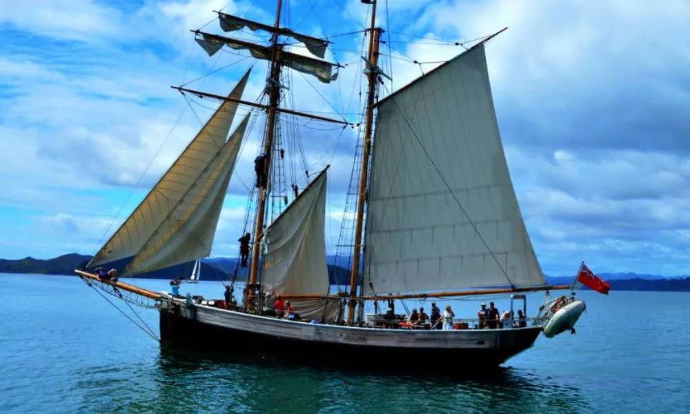 Tall Ship Sailing in Bay of Islands  | Experience Oz-5