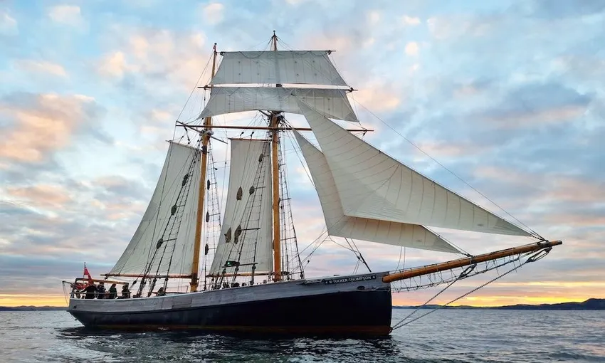 Tall Ship Sailing in Bay of Islands  | Experience Oz
