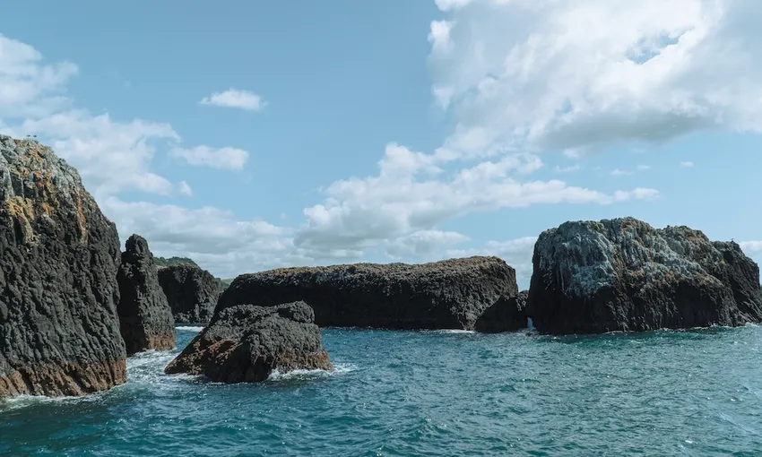 Day in the Bay Full Day Bay of Islands Tour | Experience Oz & NZ
