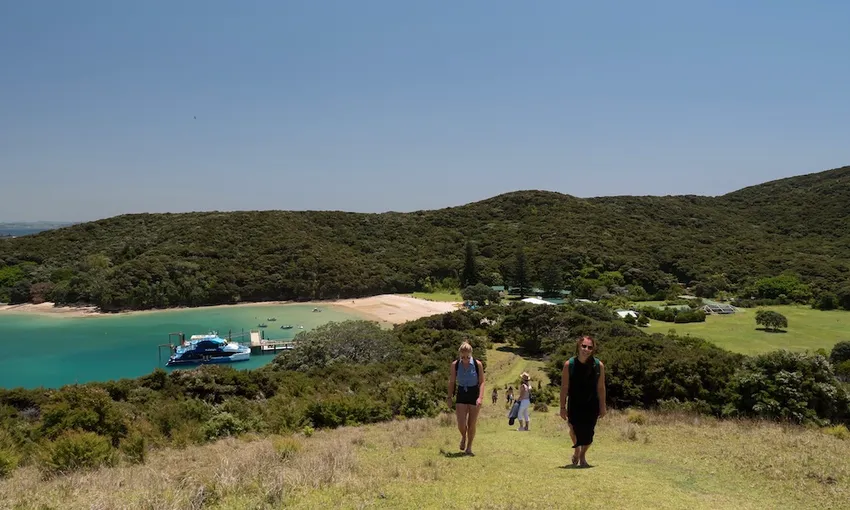 Day in the Bay Full Day Bay of Islands Tour | Experience Oz & NZ