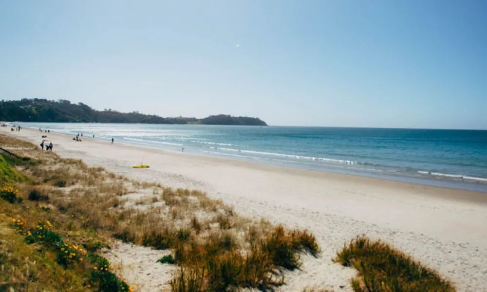 Waiheke Island Ferry Tickets | Experience Oz-3