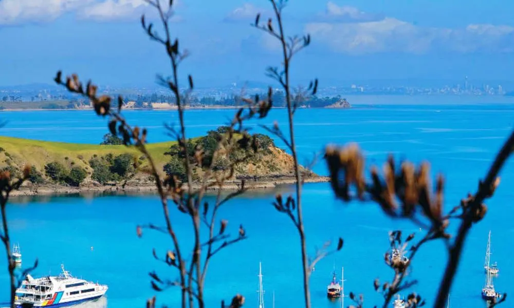 Waiheke Island Hop On Hop Off Bus & Ferry - Buy Now | Experience Oz + NZ-6