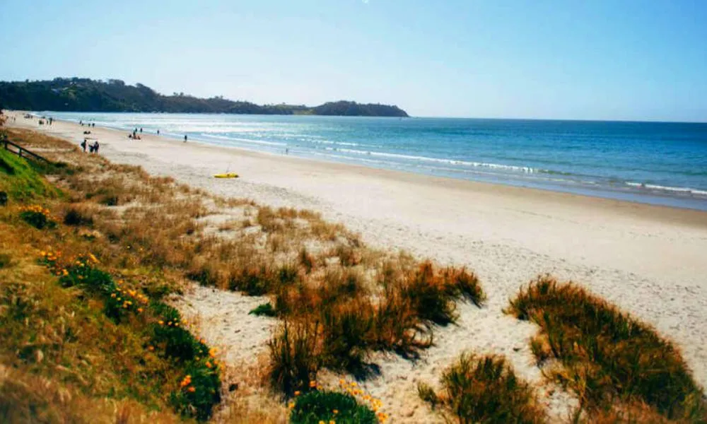 Waiheke Island Hop On Hop Off Bus & Ferry - Buy Now | Experience Oz + NZ-7