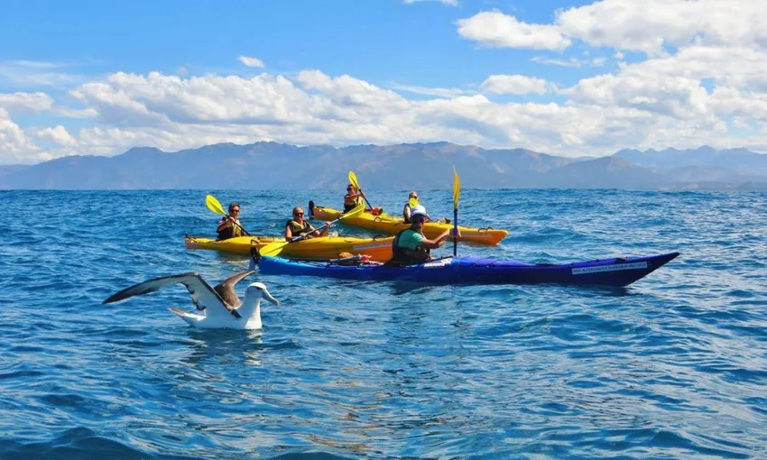Kaikoura Kayak Tours for Families - Book Now | Experience Oz