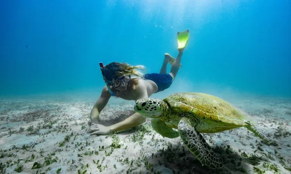 Great Keppel Island Trip