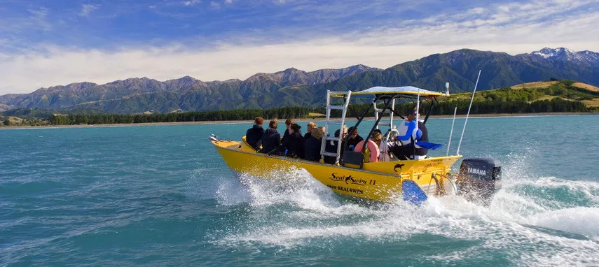 Kaikōura Seal Swim - 2.5 Hours | Experience Oz + NZ