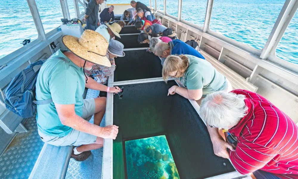 Great Keppel Island Boom Netting and Snorkelling Tour - Book Now | Experience Oz-6