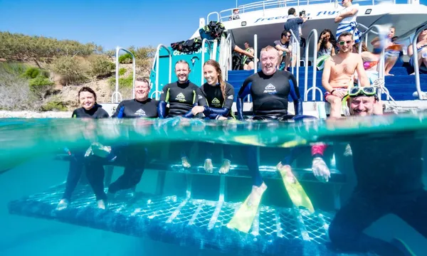 Great Keppel Island Day Trip with Glass Bottom Boat Tour and Boom Netting