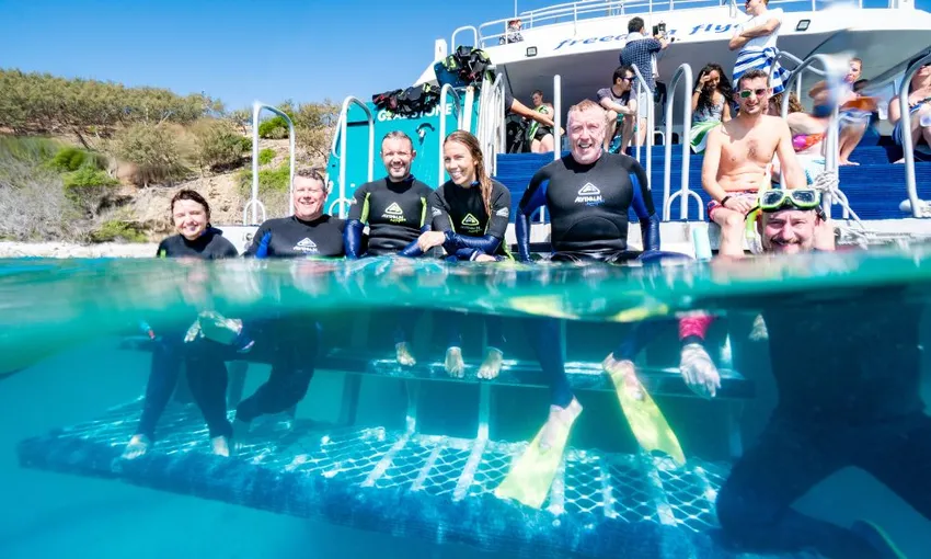 Great Keppel Island Boom Netting and Snorkelling Tour - Book Now | Experience Oz