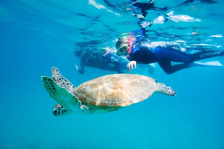 Great Keppel Island Boom Netting and Snorkelling Tour - Book Now | Experience Oz